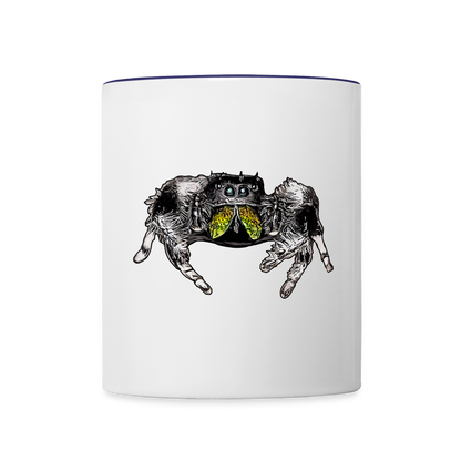 Tasse farbig Phidippus regius Rastafari male - Weiß/Kobaltblau