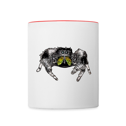 Tasse farbig Phidippus regius Rastafari male - Weiß/Rot
