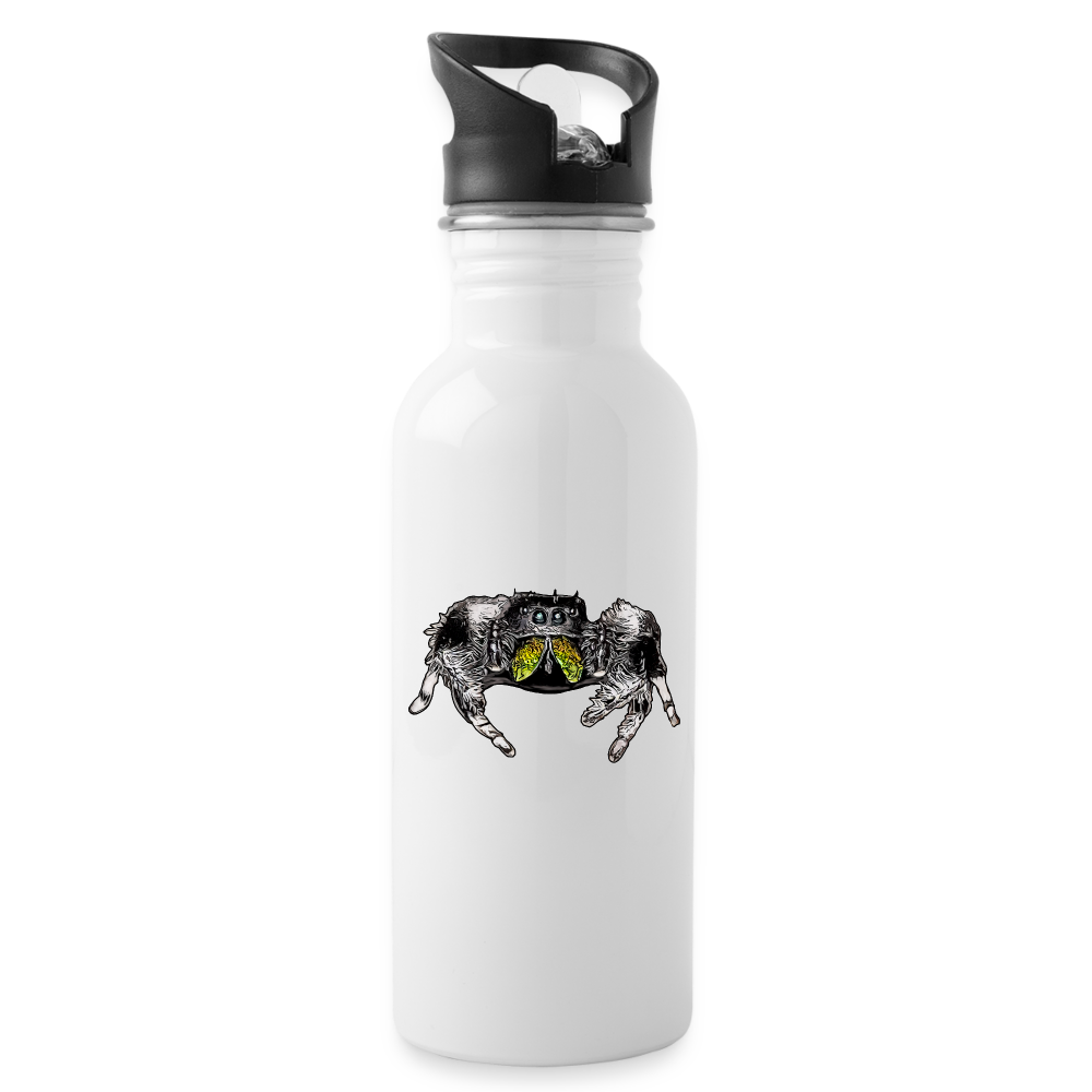 Trinkflasche Phidippus regius Rastafari male - weiß