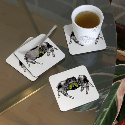 Untersetzer 4er Set Phidippus regius Rastafari male - weiß