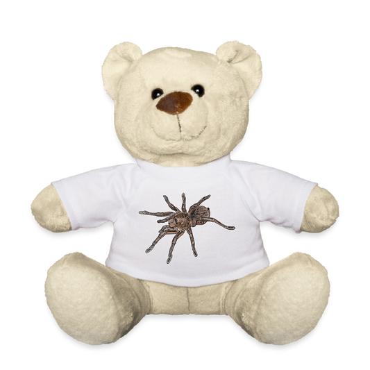 Teddy Theraphosa stirmi juvenile - weiß