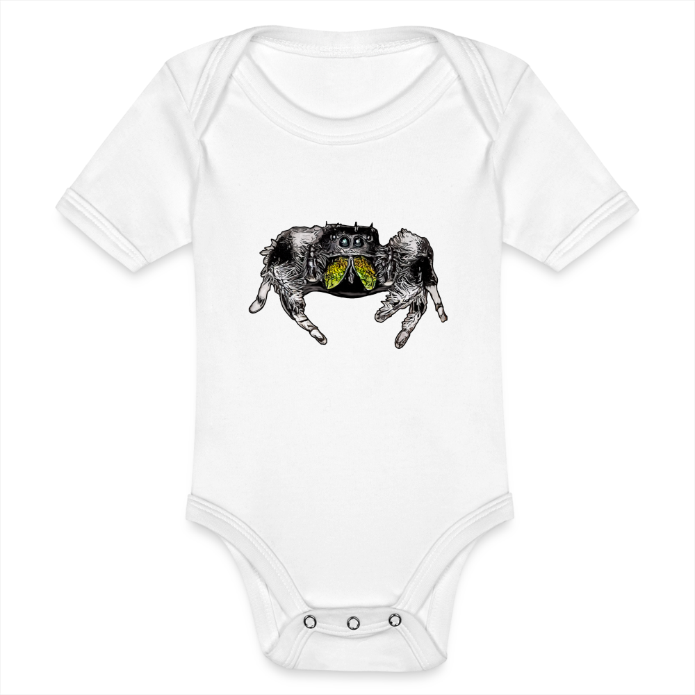 Baby Body kurz Phidippus regius Rastafari male - weiß