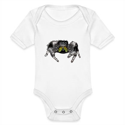 Baby Body kurz Phidippus regius Rastafari male - weiß