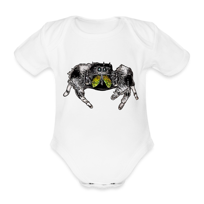 Baby Body kurz Phidippus regius Rastafari male - weiß