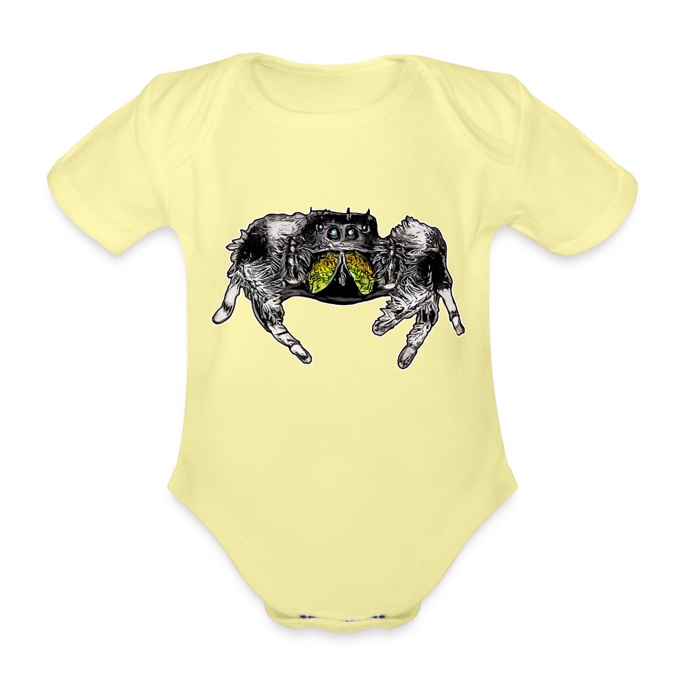 Baby Body kurz Phidippus regius Rastafari male - Hellgelb