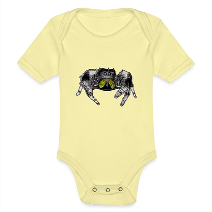 Baby Body kurz Phidippus regius Rastafari male - Hellgelb