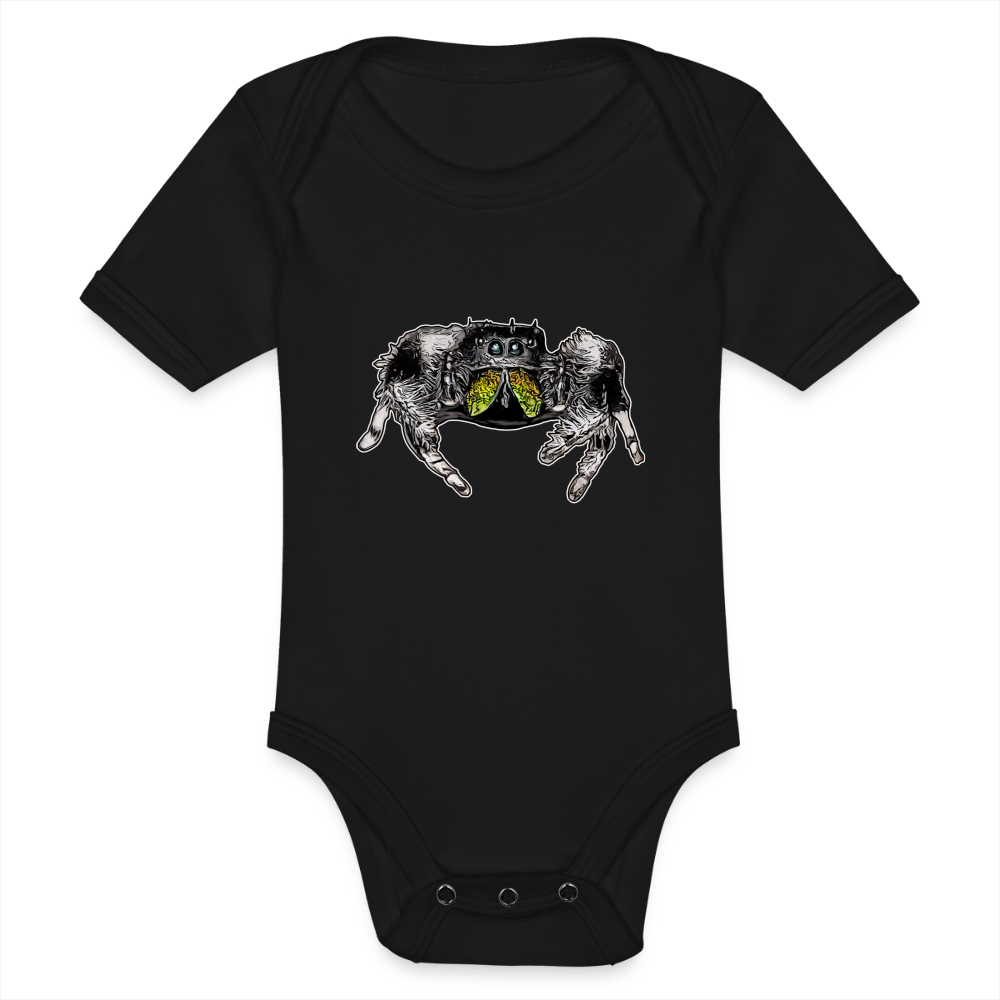 Baby Body kurz Phidippus regius Rastafari male - Schwarz