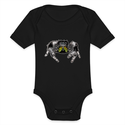 Baby Body kurz Phidippus regius Rastafari male - Schwarz