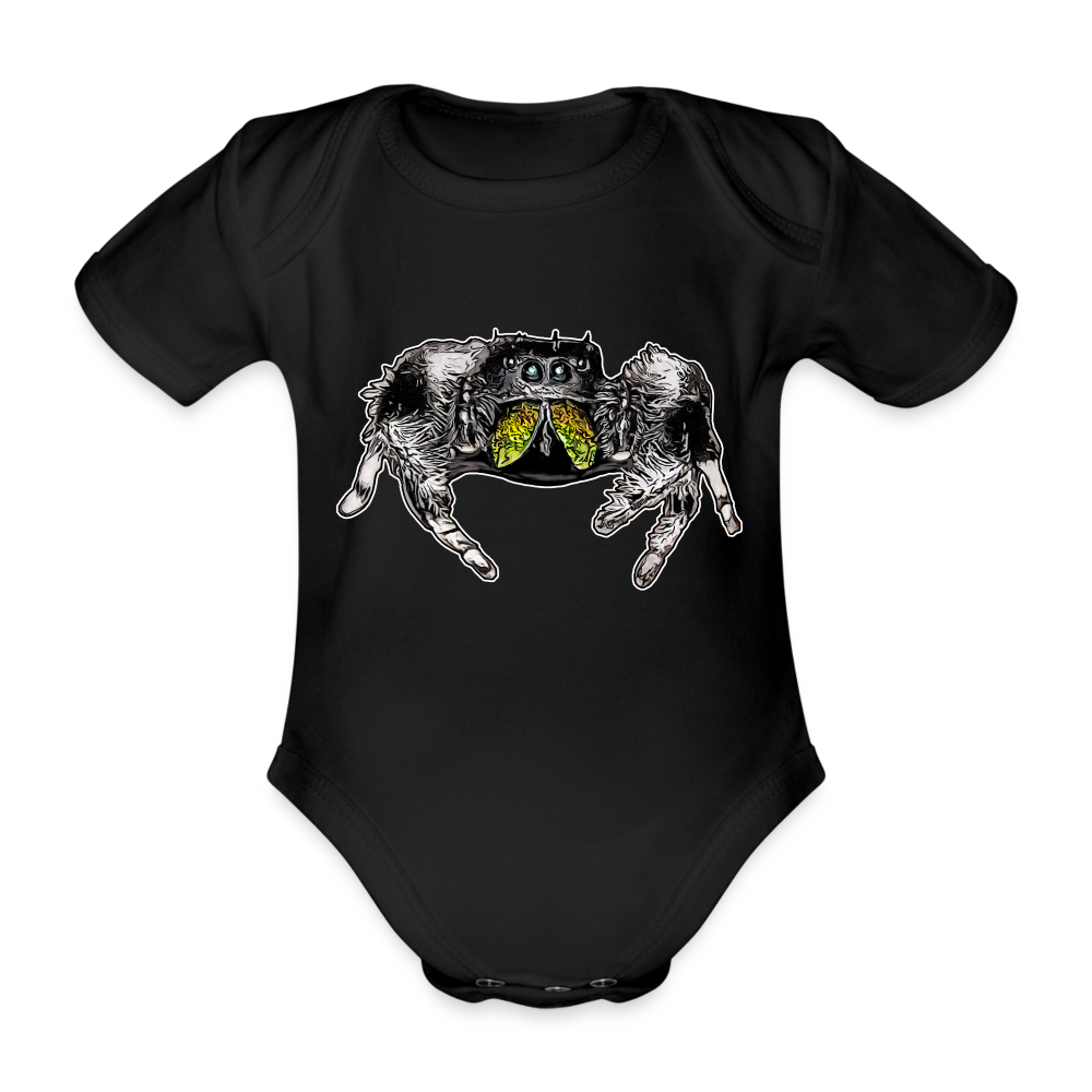 Baby Body kurz Phidippus regius Rastafari male - Schwarz