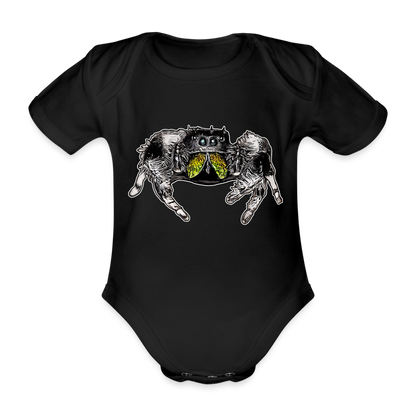 Baby Body kurz Phidippus regius Rastafari male - Schwarz