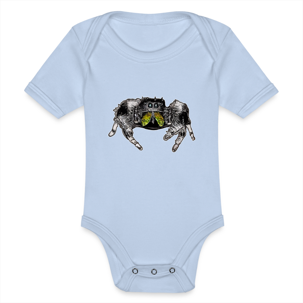 Baby Body kurz Phidippus regius Rastafari male - Sky