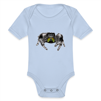 Baby Body kurz Phidippus regius Rastafari male - Sky