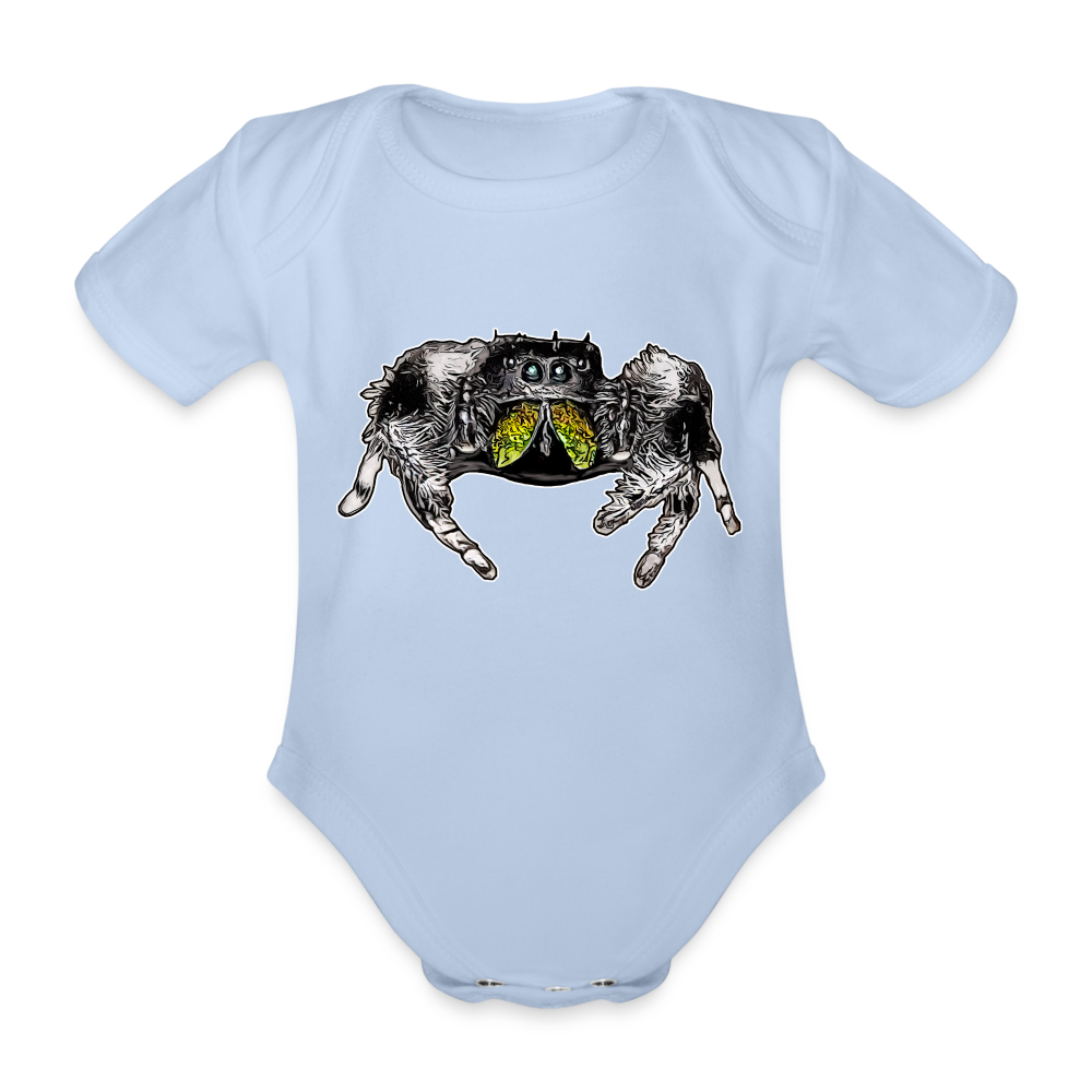 Baby Body kurz Phidippus regius Rastafari male - Sky