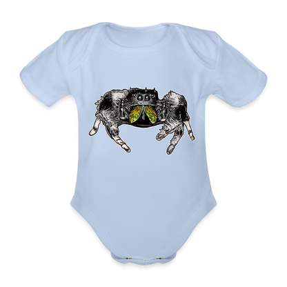 Baby Body kurz Phidippus regius Rastafari male - Sky