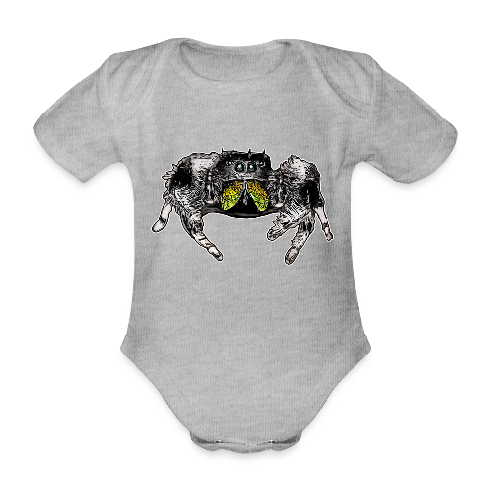Baby Body kurz Phidippus regius Rastafari male - Grau meliert