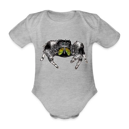 Baby Body kurz Phidippus regius Rastafari male - Grau meliert