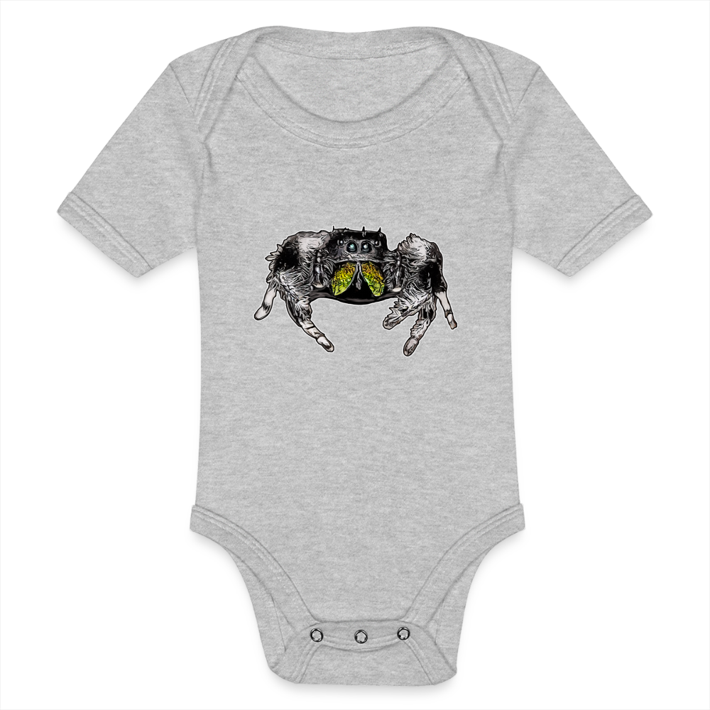 Baby Body kurz Phidippus regius Rastafari male - Grau meliert