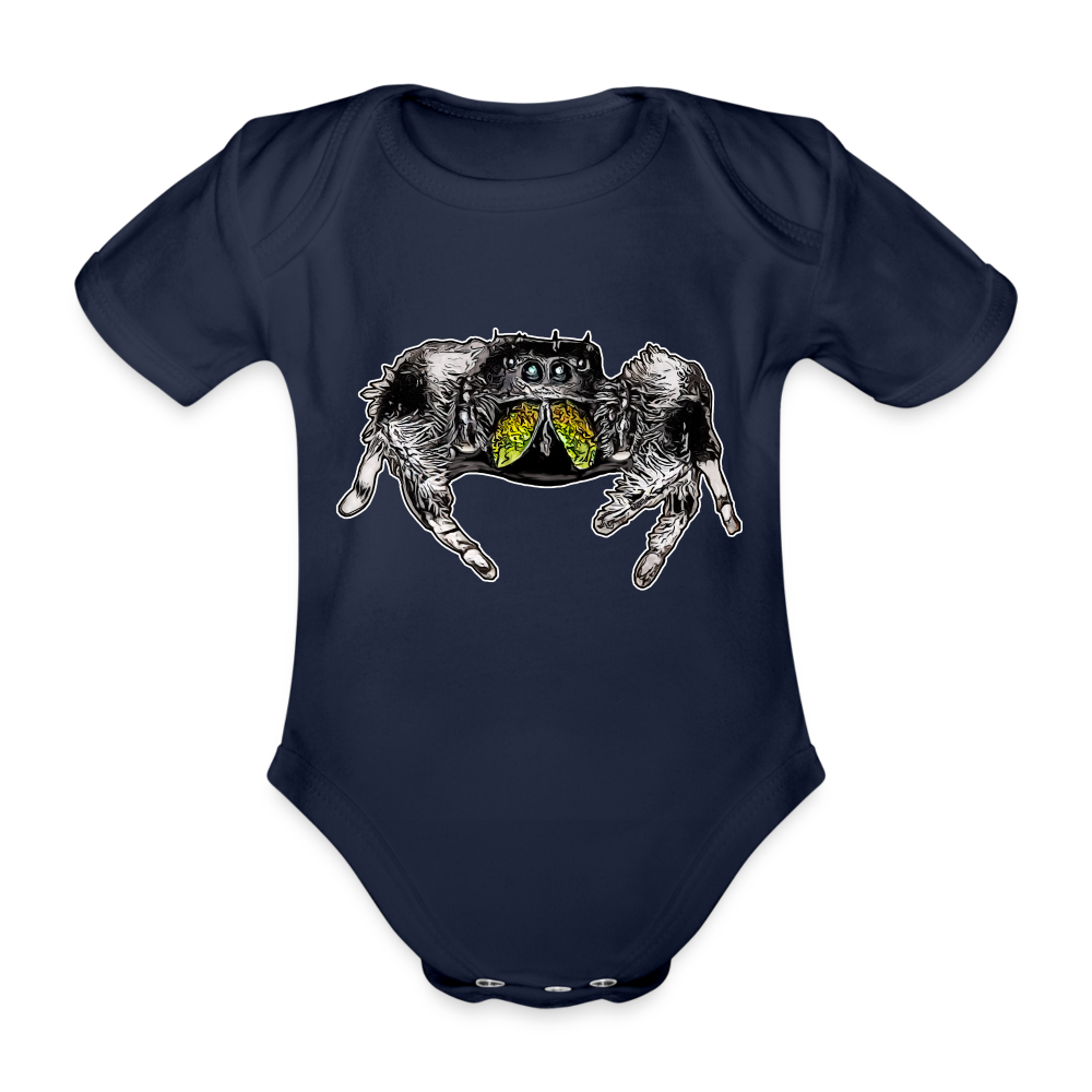 Baby Body kurz Phidippus regius Rastafari male - Dunkelnavy