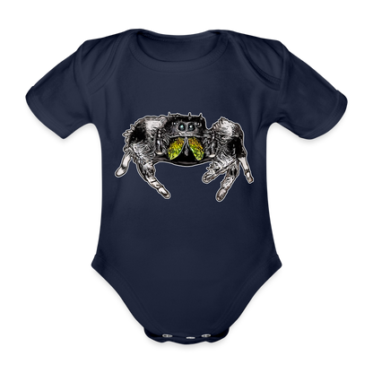 Baby Body kurz Phidippus regius Rastafari male - Dunkelnavy