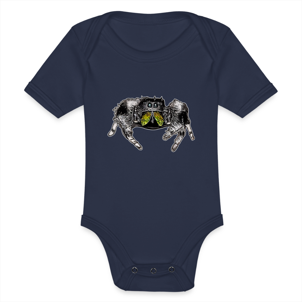 Baby Body kurz Phidippus regius Rastafari male - Dunkelnavy