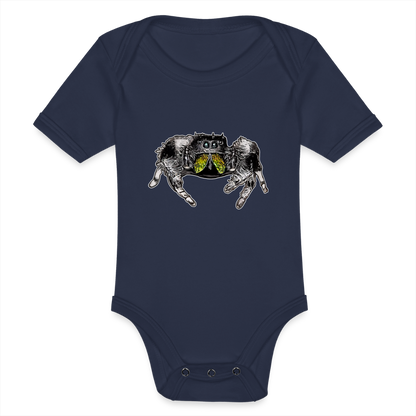 Baby Body kurz Phidippus regius Rastafari male - Dunkelnavy
