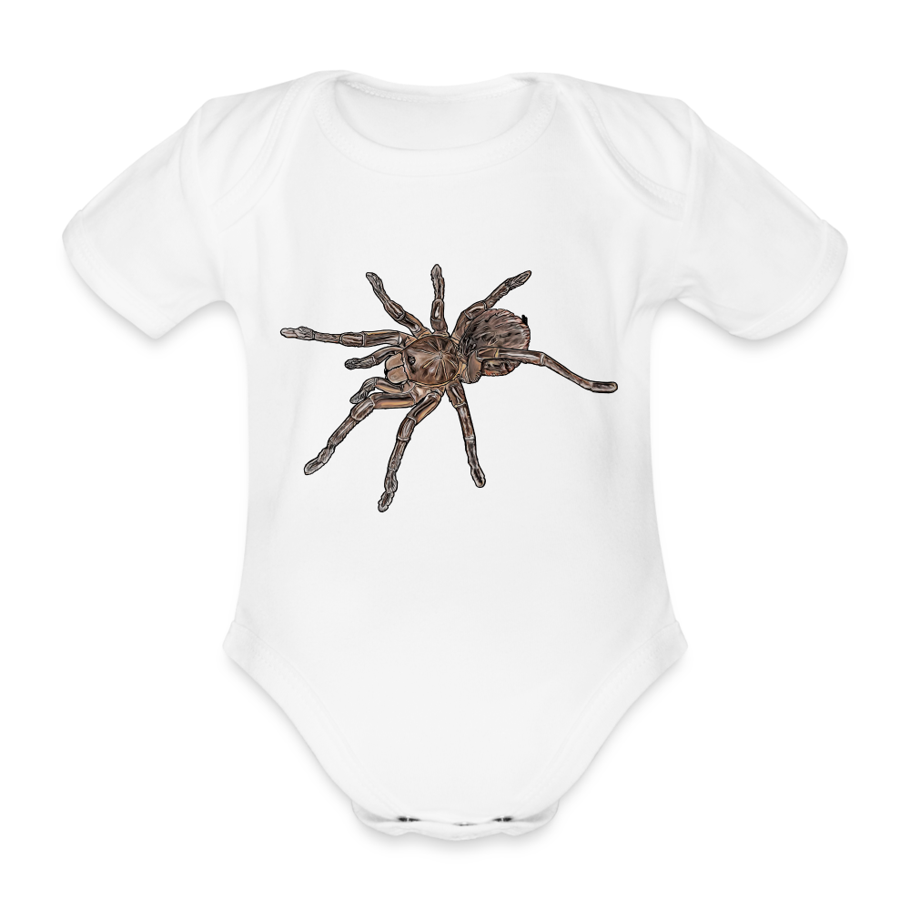Baby Body kurz Theraphosa stirmi juvenile - weiß