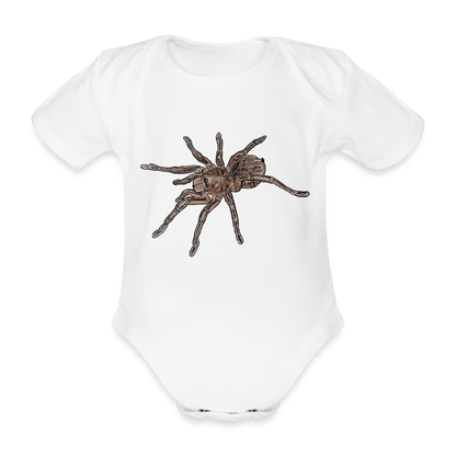 Baby Body kurz Theraphosa stirmi juvenile - weiß