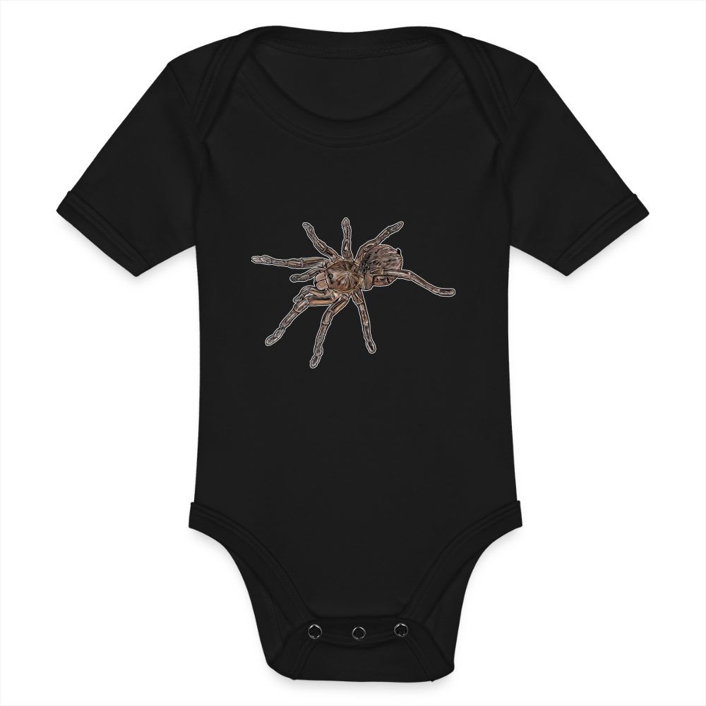 Baby Body kurz Theraphosa stirmi juvenile - Schwarz
