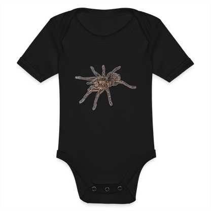 Baby Body kurz Theraphosa stirmi juvenile - Schwarz