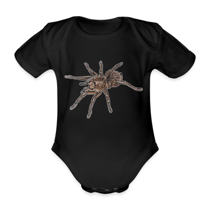 Baby Body kurz Theraphosa stirmi juvenile - Schwarz