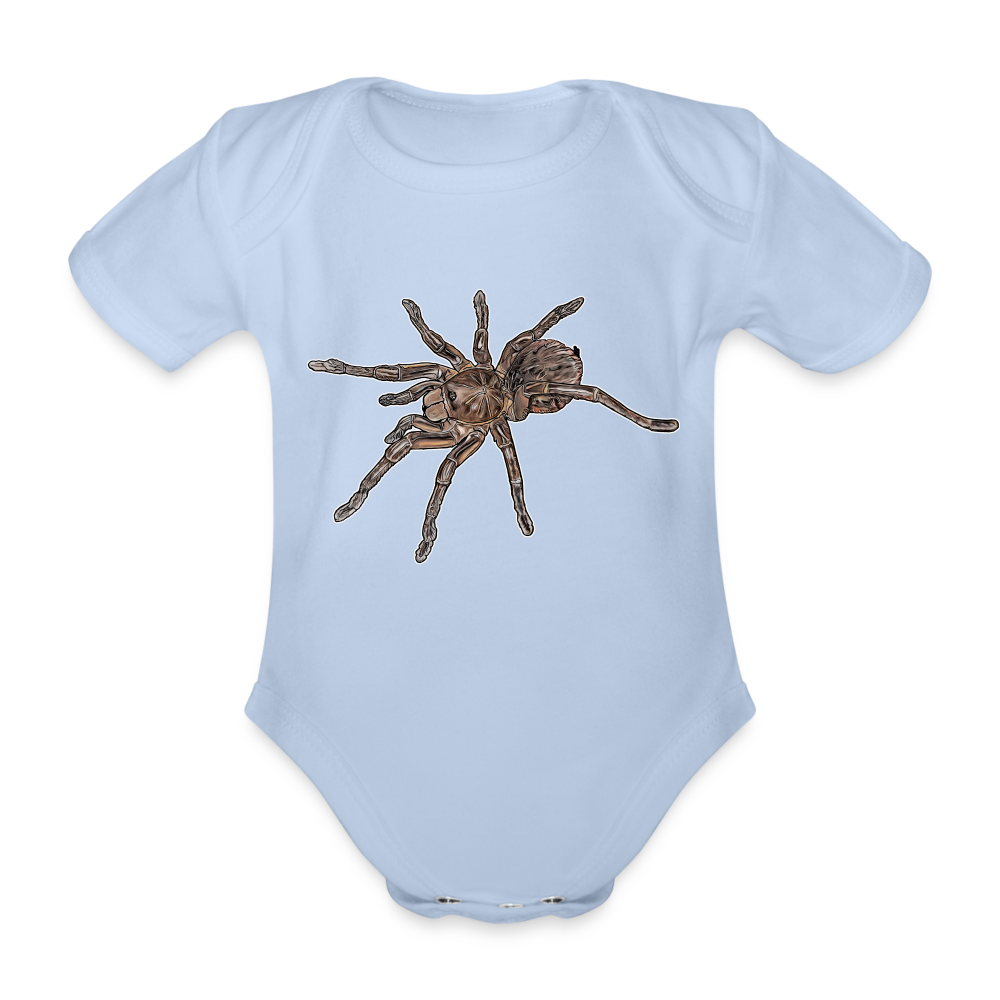Baby Body kurz Theraphosa stirmi juvenile - Sky