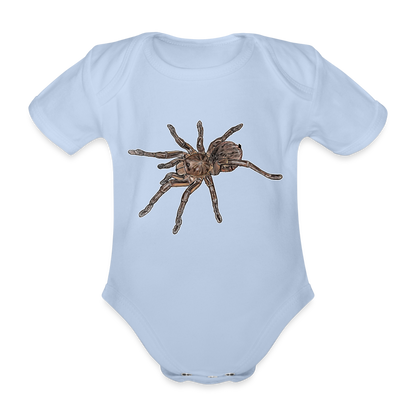 Baby Body kurz Theraphosa stirmi juvenile - Sky