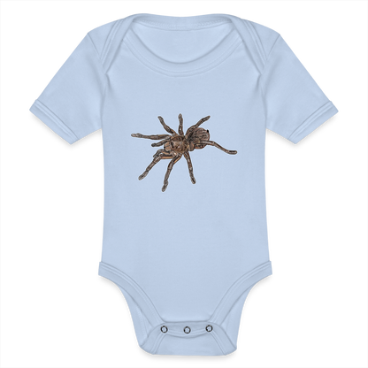 Baby Body kurz Theraphosa stirmi juvenile - Sky