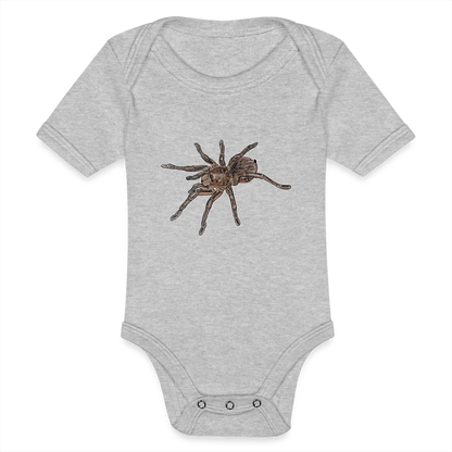 Baby Body kurz Theraphosa stirmi juvenile - Grau meliert