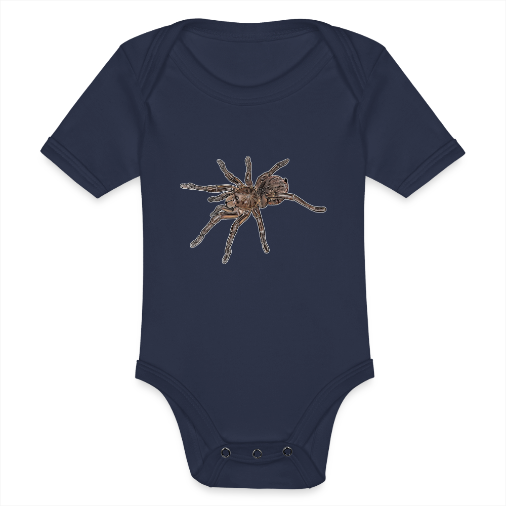 Baby Body kurz Theraphosa stirmi juvenile - Dunkelnavy