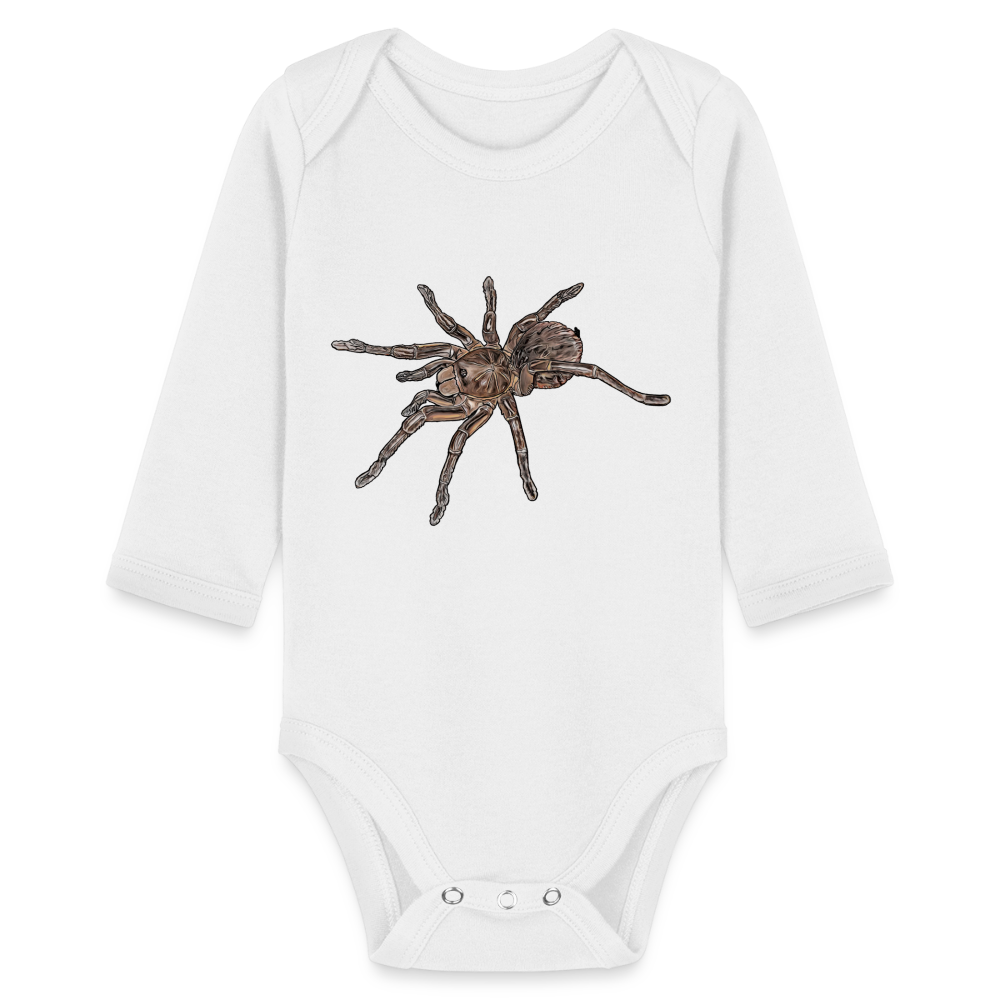 Baby Body lang Theraphosa stirmi juvenile - weiß