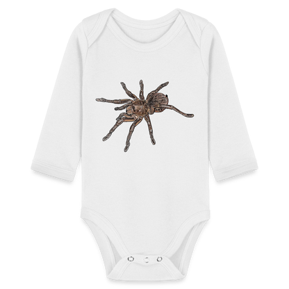 Baby Body lang Theraphosa stirmi juvenile - weiß