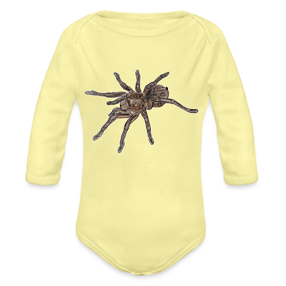 Baby Body lang Theraphosa stirmi juvenile - Hellgelb