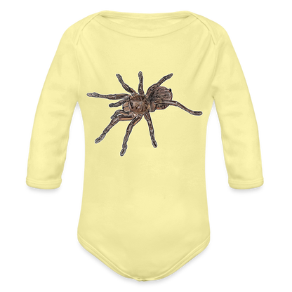 Baby Body lang Theraphosa stirmi juvenile - Hellgelb