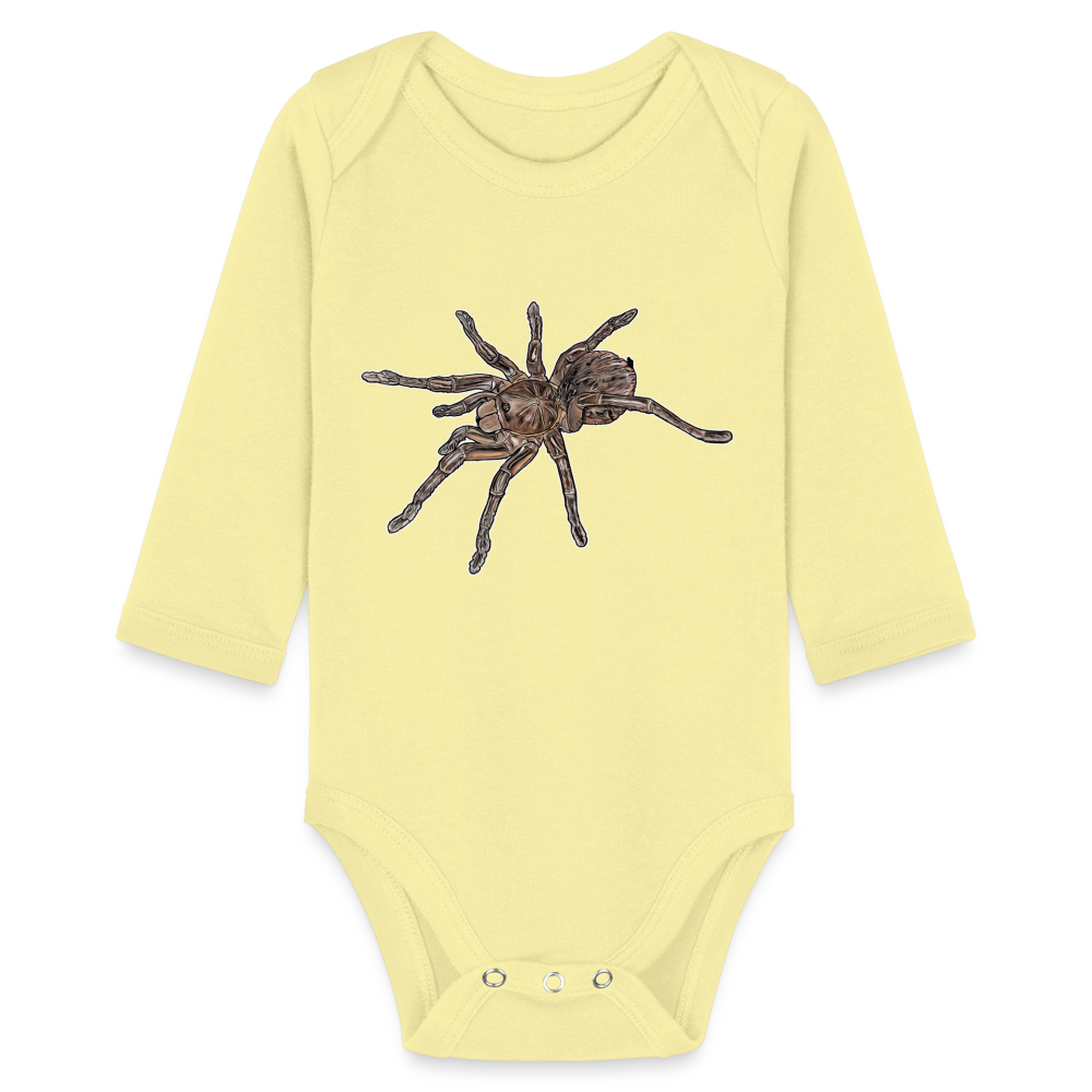 Baby Body lang Theraphosa stirmi juvenile - Hellgelb