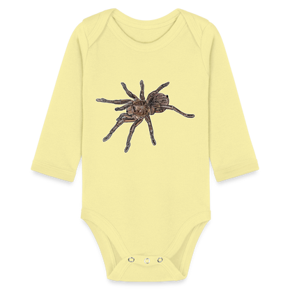 Baby Body lang Theraphosa stirmi juvenile - Hellgelb