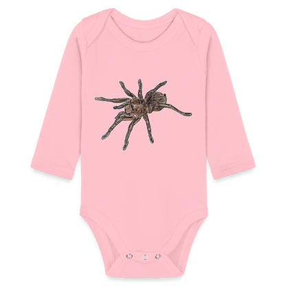 Baby Body lang Theraphosa stirmi juvenile - Hellrosa