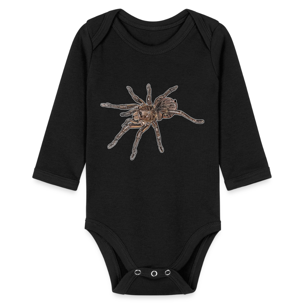 Baby Body lang Theraphosa stirmi juvenile - Schwarz