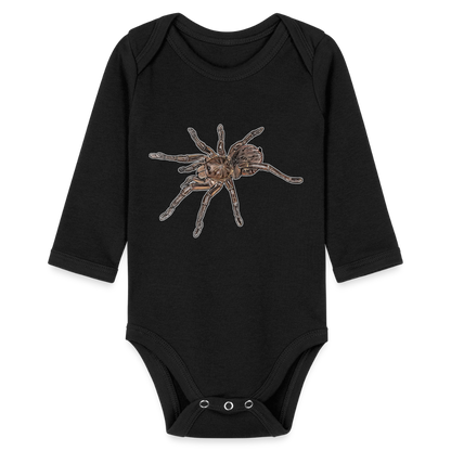 Baby Body lang Theraphosa stirmi juvenile - Schwarz