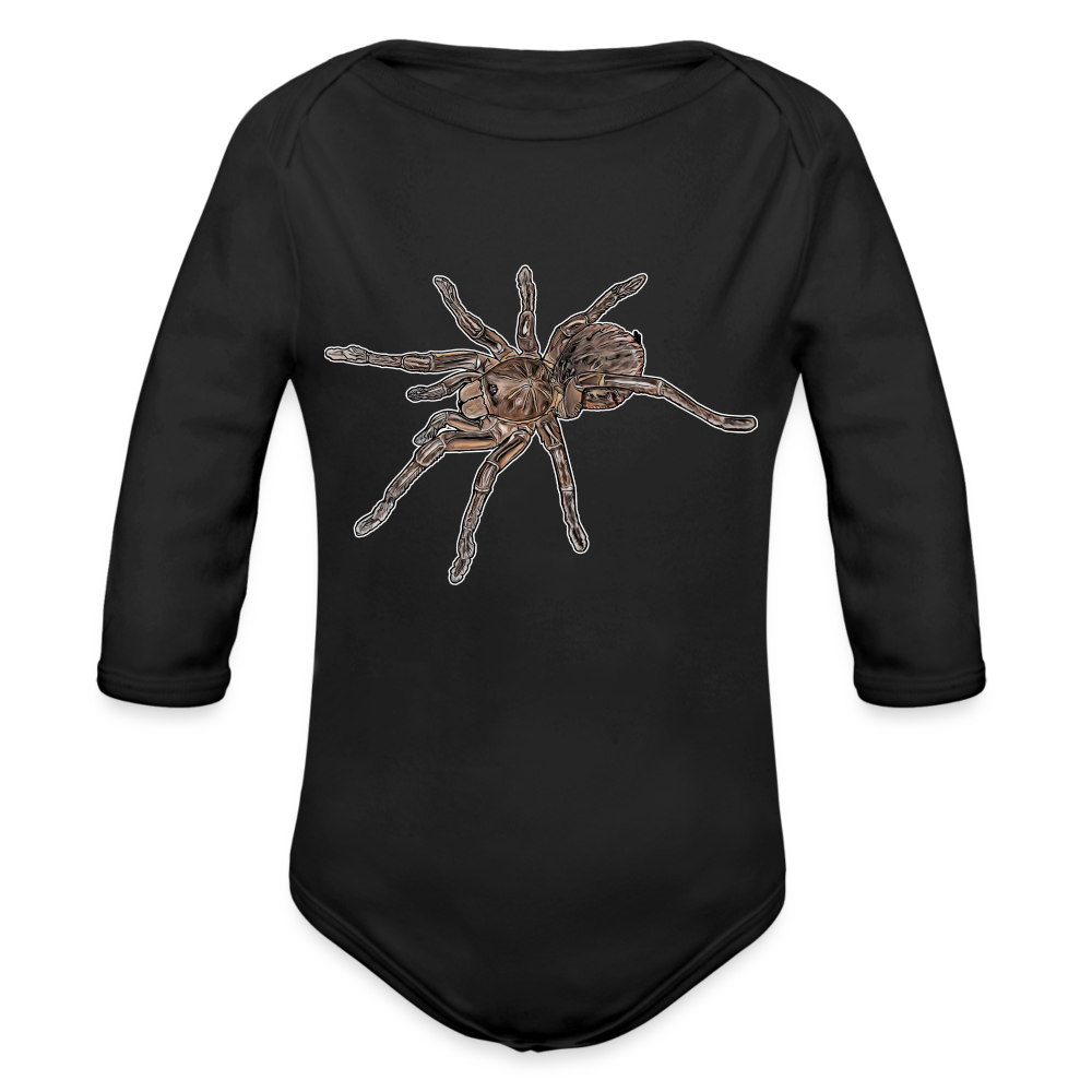 Baby Body lang Theraphosa stirmi juvenile - Schwarz