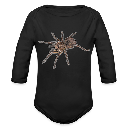 Baby Body lang Theraphosa stirmi juvenile - Schwarz
