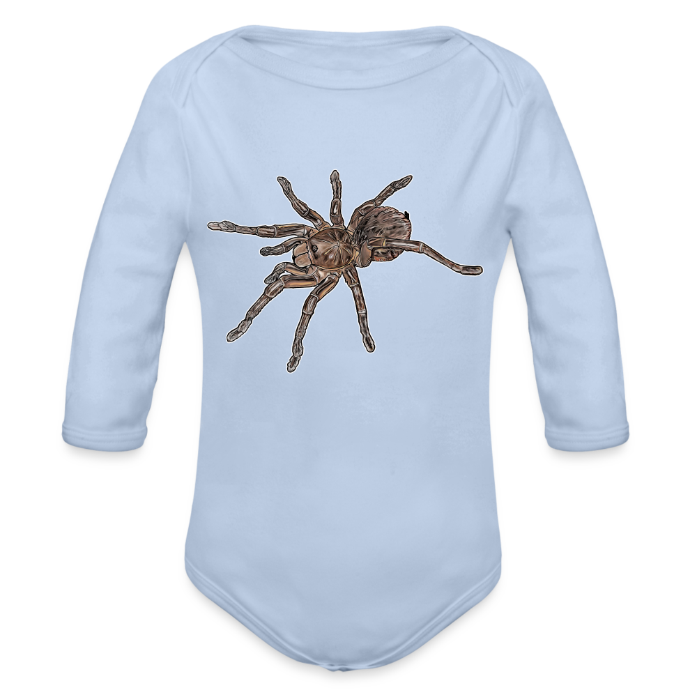 Baby Body lang Theraphosa stirmi juvenile - Sky