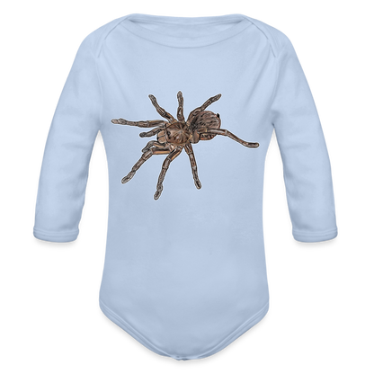 Baby Body lang Theraphosa stirmi juvenile - Sky