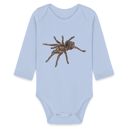 Baby Body lang Theraphosa stirmi juvenile - Sky