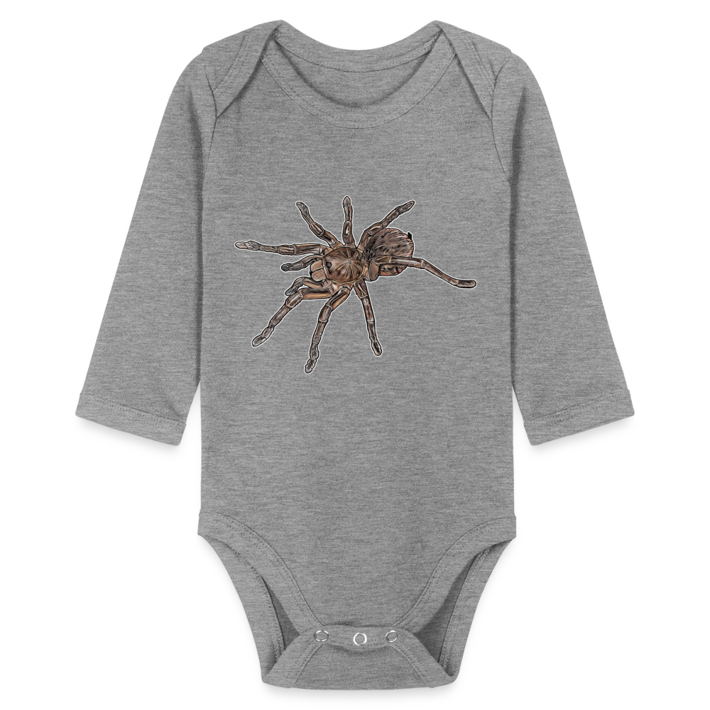 Baby Body lang Theraphosa stirmi juvenile - Grau meliert